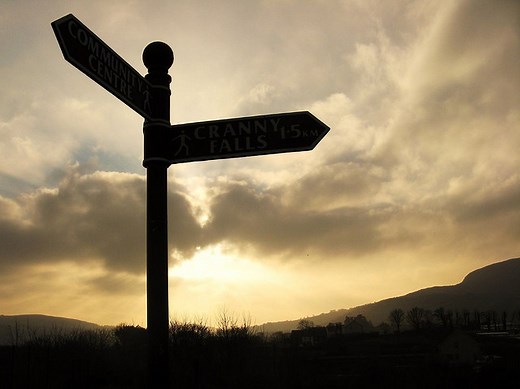 Which is the Best Course of Action?