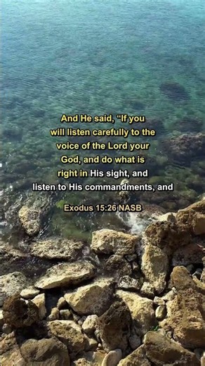 🕊️ Exodus 15:26 — Peaceful Bible Reading