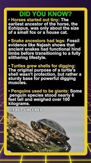 Did you know snake ancestors had legs?