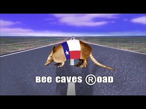 Bee Caves Road/Acme Productions/20th Century Fox Television (2001)