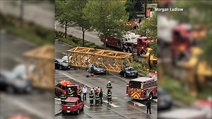 Four killed after construction crane collapses in Seattle