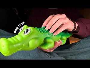 ASMR Tapping & Scratching on Dog Toys 🐊 - lofi