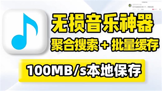 无损音乐、歌曲在线搜索本地批量缓存！支持MP3、FLAC无损音质文件格式！传输速度100MBs，可单一、全选批量保存到本地，内置多条音源、聚合搜索引擎！ (1