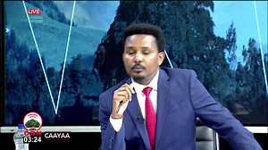 Qophii Caayaa | Aanaa Adaabbaa | OBN Afaan Oromoo Plus