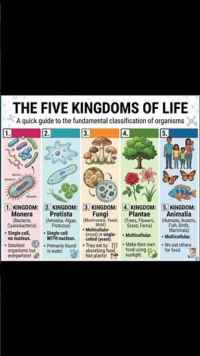 The hidden map of all life on Earth – 5 kingdoms you need to know