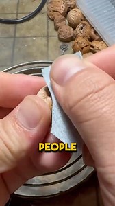 He Found a Rare Peach Pit With a Strange Shape and Turned It Into Art | Human Adventures