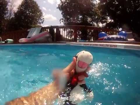Cat in the Hat Underwater 2