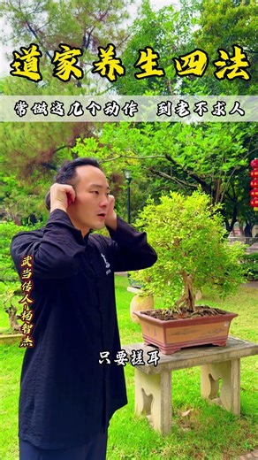 道家养生四法#WuDangTaiChi #TaiChiJieSifu #KungFu #WuDangKungFuHeir #kungfumaster #kungfumoves