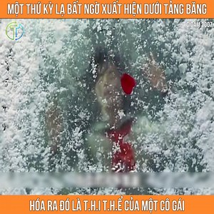 526K views · 8K reactions | Review phim: Gidam 2007 | Đi Là Nhớ | Facebook