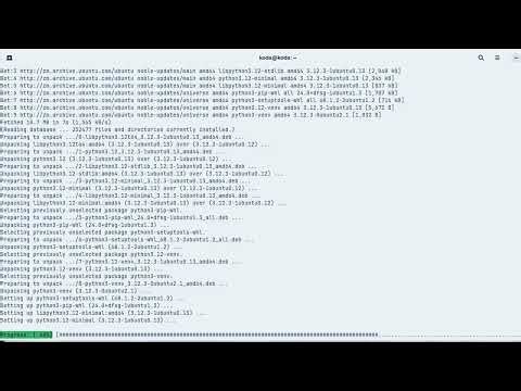 Setting up python on zorin os linux
