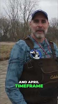 Maumee River Walleye Run: Epic Fishing Adventure in Ohio! #shorts