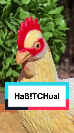 Chickens and Sarcasm - A Word of the Day