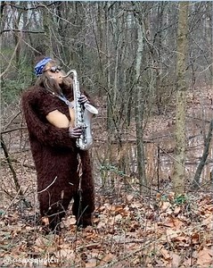 If you need a break from the debate, here's Saxsquatch 🎶🎷 | BuzzFeed News