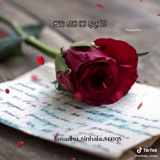 Madu Mala Lesa Mudu - Milton Is a #music #sinhalasongs #foryourpage #foryou #fyp #madumalalesa #miltonmallawarachchi