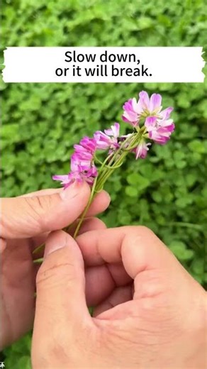 Make Lovely Flower Headbands With Spring Flowers | Easy DIY Craft Idea✨