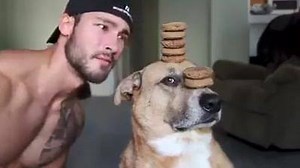 Clark the dog is back, showing his incredible discipline! - Ok, but which one is cuter? Results published orally on Saturday. https://www.facebook.com/video.php?v=1054559661228271&fref=nf | NDebz