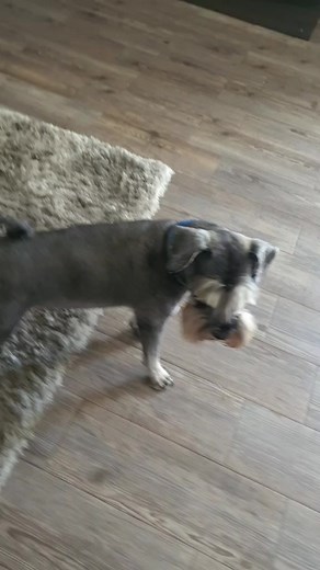 Cuentas recomendadas