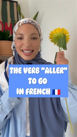 Dahina | French Teacher 🇫🇷👽 | The verb aller in French can change meaning depending on the tense, and that’s where many learners get confused. Here are the key forms you... | Instagram