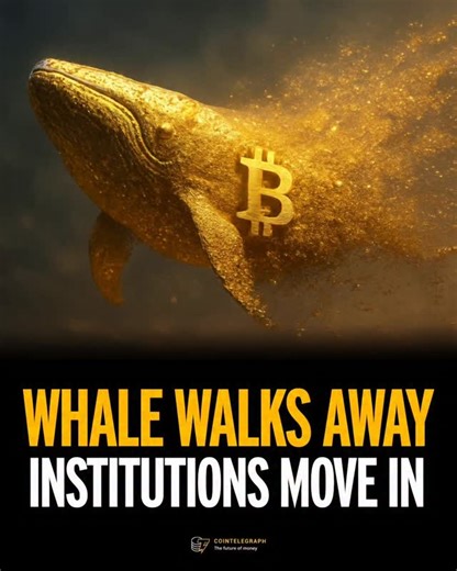 Cointelegraph | 🐋 INSIGHT: A whale leaves as institutional buying ramps up. Follow @cointelegraph for more crypto insights. | Instagram