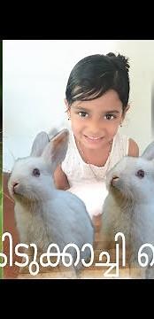 RABBIT FRY /yummy rabbit fry recipe/Rabbit cooking skill