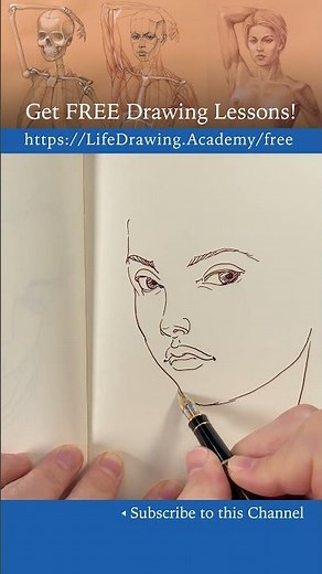 How to draw portraits in pen and ink
