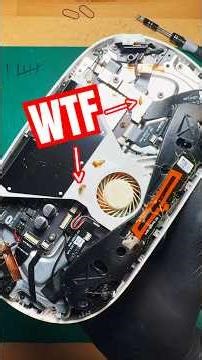 Bugs Inside A Quest 2?! #vr #virtualreality #quest2