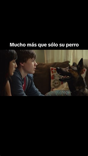 La historia de Justin y su perro 'Max' ya está disponible en Netflix ❤️ | Netflix