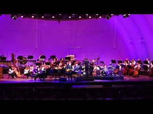 Elvis Costello - Veronica (Live at the Hollywood Bowl, 2014)