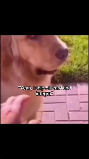 Exploring Alucard and Integra's Unique Relationship