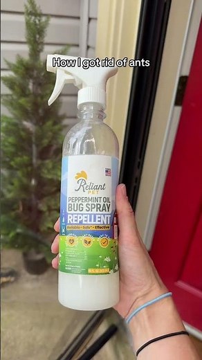 How to get rid of ants in your house: I used this peppermint oil bug spray to repel ants, roaches