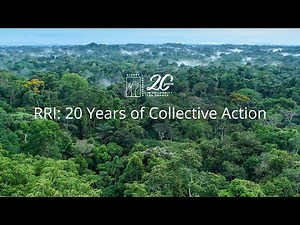 RRI: 20 Years of Collective Action