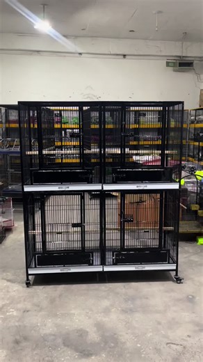 Ringneck & raw breading cage…. Delivered to happy happy coustomer #alibirdcageofficial #bestqualityproducts💯 @Ali bird cage®