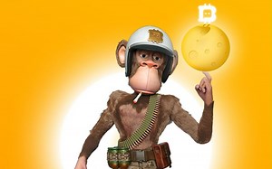 Btok-DID快速生成