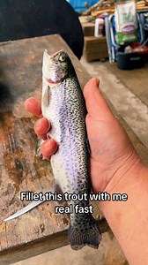 104K views · 1.9K reactions | Smoked rainbow trout (clean and cook) #cooking #fishing #outdoors #easyrecipe #cheapprice #seafoodlover | Wade Fishez | Facebook