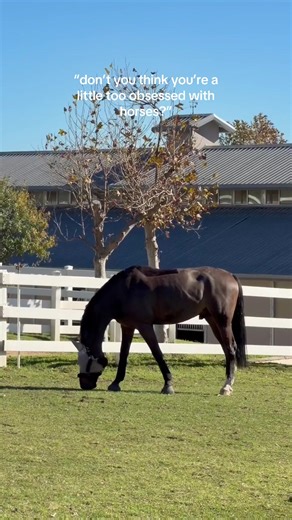 No such thing as too many horses #horsegirl #horsebackriding #equestrian