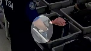 Miami TSA caught on camera stealing from passengers