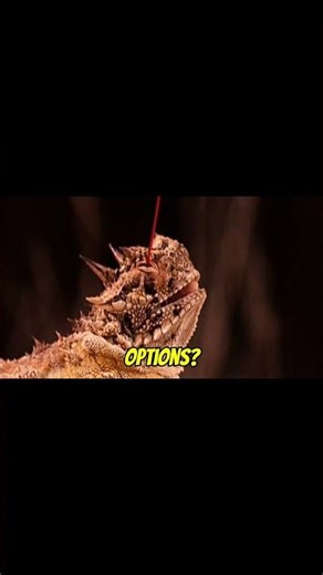 3 Animals That Shouldn’t Exist 😱🦎🐟🪼 | Real Life Impossible Creatures