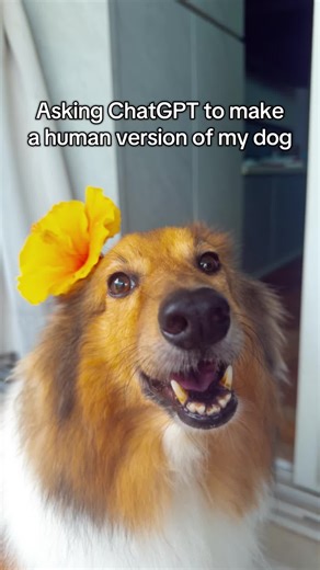 My dog’s a ginger man 🤨🤨✨ #dog #foryoupage #ophirdoggo #fyp #foryou #fyppppppppppppppppppppppp