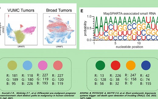 【研究生】和SCI顶刊学科研绘图配色（附RGB数值）第三期