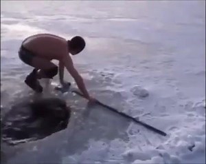 Rare footage of a Canadian being born 😆- 📹 wildsoapbox | Daily Hive