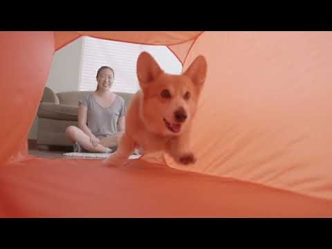 Zip & Zoom Indoor Agility Kit - 3 Obstacle In-Home Agility Kit