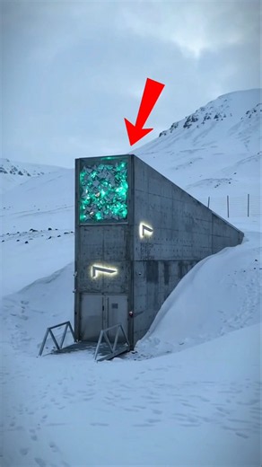 The Vault That Could Save Humanity! 🌍😱 #shorts #DoomsdayVault