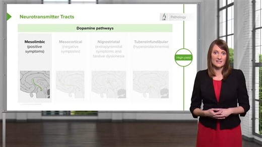 USMLE Step2 精神科：精神分裂症与思维障碍：幻觉妄想识别、抗精神病药机制、NMS与木僵状态治疗 | Schizophrenia & Psychosis