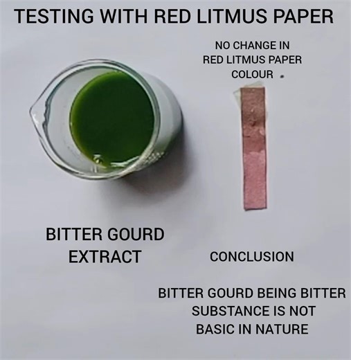 BITTER GOURD EXTRACT (TESTING WITH RED LITMUS PAPER)