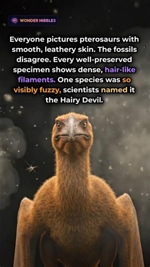 Pterosaurs Were Actually FLUFFY