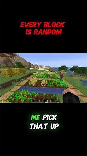 Every Block Is Random: MINECRAFT | #minecraftshorts #minecraftgameplay #gaminingvideos #minecraftpe