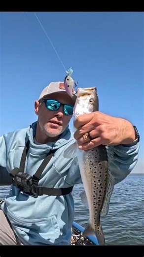 Will Speckled Trout Eat This Bait?!