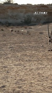 JLC Family : ils brisent le silence | Du lundi au vendredi à 17h15 sur TFX et TF1 . partie 1 | TFX