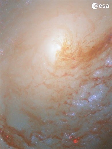 ESA - European Space Agency on Instagram: "Hubble time! 🌌 This galaxy’s asymmetric appearance may be the result of a galactic tug of war. Located 35 million light-years away in the constellation Leo, the spiral galaxy Messier 96 is the brightest of the galaxies in its group. The gravitational pull of its galactic neighbours may be responsible for Messier 96’s uneven distribution of gas and dust, asymmetric spiral arms, and off-centre galactic core. This asymmetric appearance is on full display 
