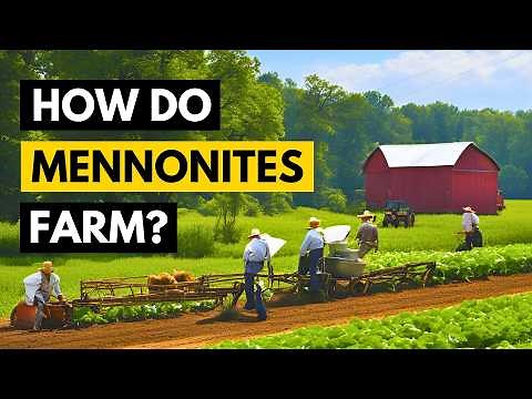 RARE Look Inside a Mennonite Farm – How They Grow Food Off-Grid!